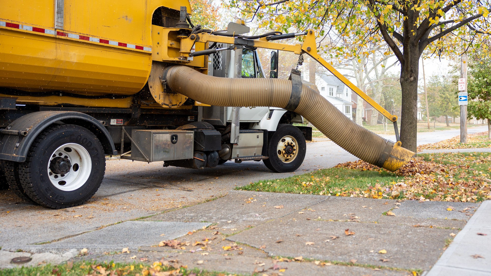 A yellow leaf truck collecting leaves off of a tree lawn in Lakewood.